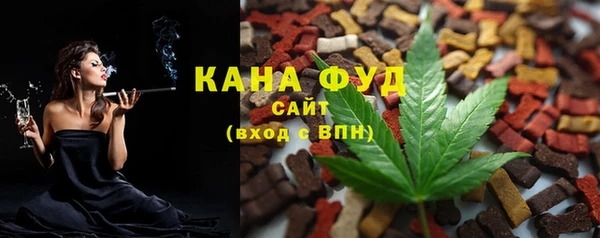 индика Балабаново