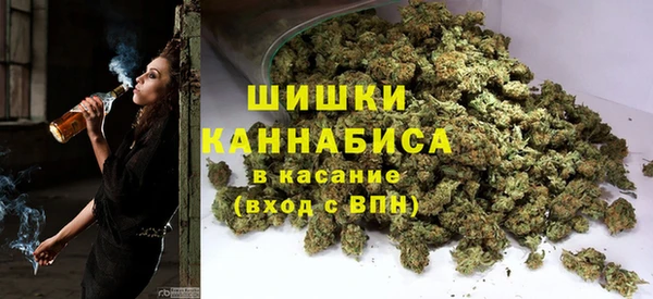 индика Балабаново