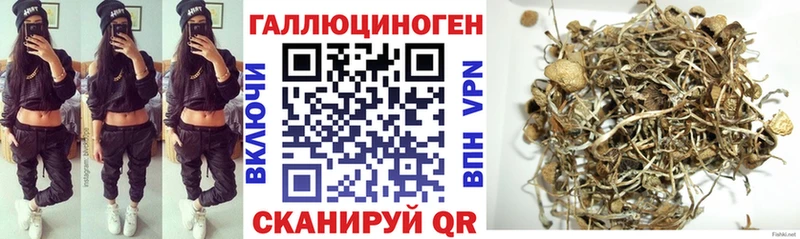 Псилоцибиновые грибы MAGIC MUSHROOMS  Ногинск 